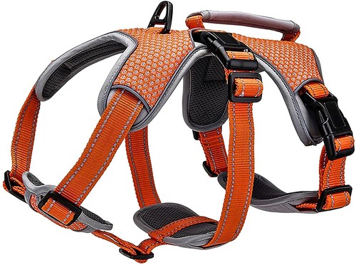 Belpro multi use support - belpro,