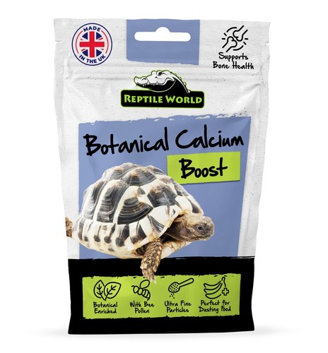 Reptile world tortoise - reptile,