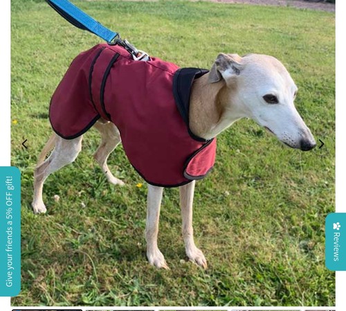 Waterproof greyhound coat - waterproof,