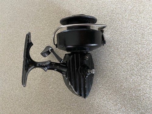 Intrepid reels - intrepid,
