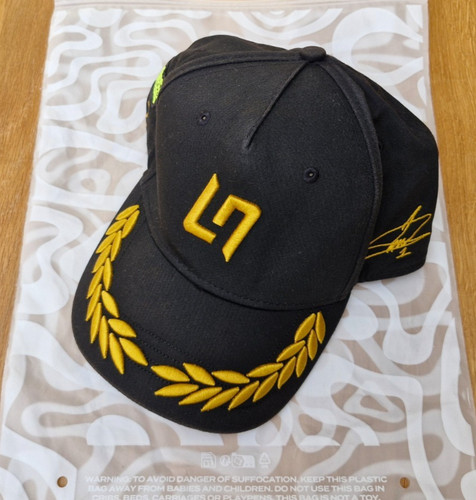 Lando norris world champion - world,