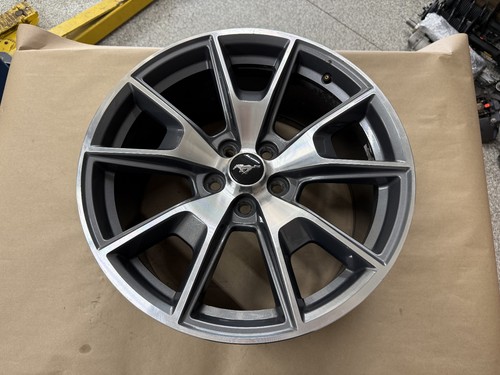 2015 2023 ford - ford, gt