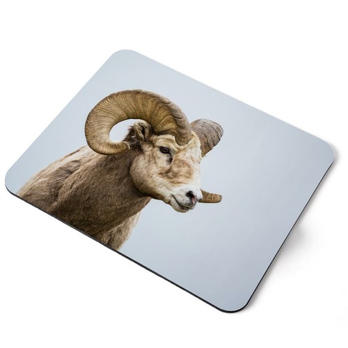 Mouse mat pad wild - mat,