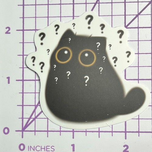 Mystery black cat - mystery,