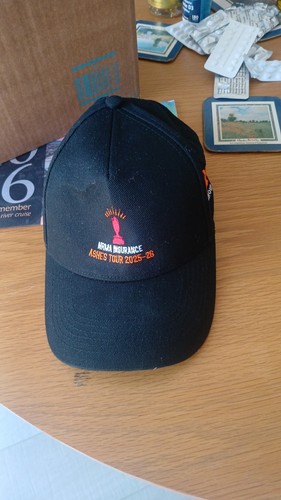 Official 2025 ashes tour - official,