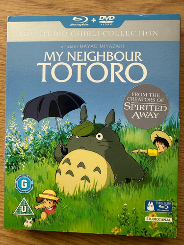 Neighbour totoro studio - my,