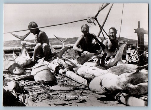 Norway postcard kon tiki - kon,
