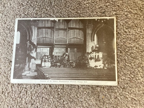 Vintage forest hill postcard - forest,