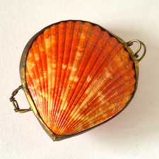 VINTAGE REAL ORANGE SHELL