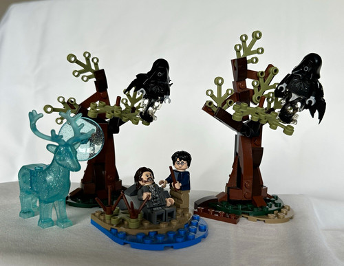 Lego harry potter expecto - potter,