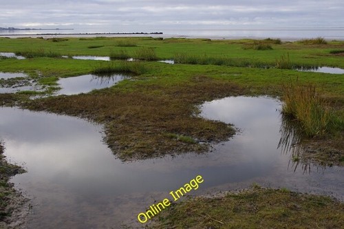 Photo 6x4 foreshore hest - foreshore, at
