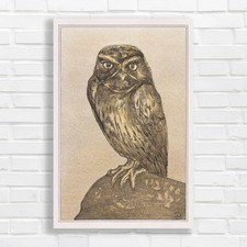 Wise Old Owl Vintage Nature