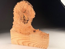 Live Edge Burr Elm Resin