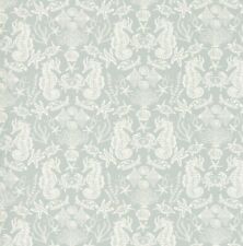 Aquarium Seahorse Duckegg