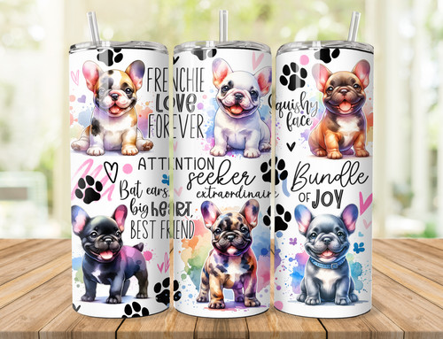 Cute french bulldog pups - cute,