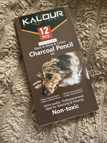 Charcoal pencils set - pencils, white