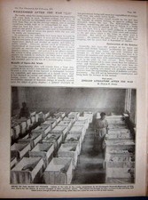 Antique Old Print 1917 Ww1