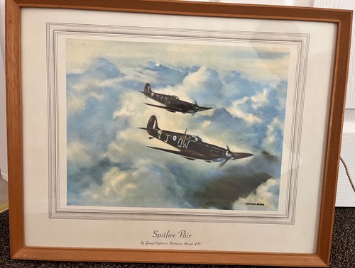 Framed spitfire pair and
