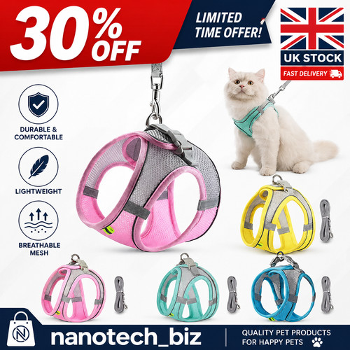 Dog harness and - dog,