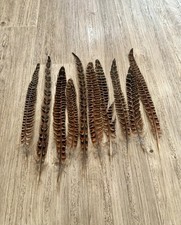 10x Natural Pheasant Tail