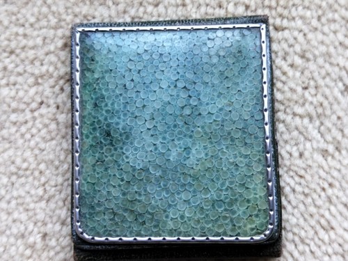 Vintage shagreen and silver