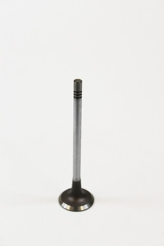 Inlet valve for mini - inlet,