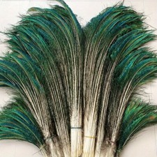 10Pcs Natural Peacock Feathers