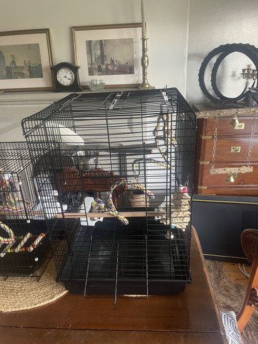 Black metal wire bird - metal, cage