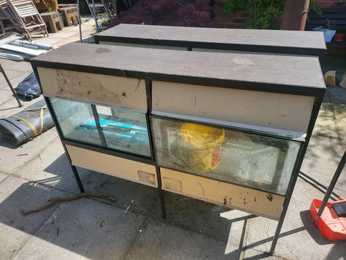 Fish tanks racks - fish,