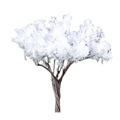 Mini trees bonsai decoration - bonsai,