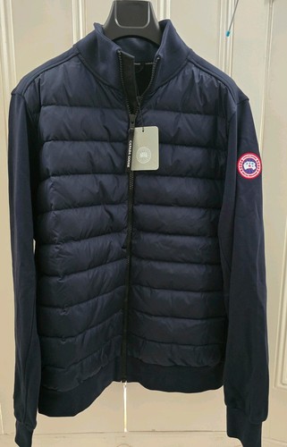 Canada goose hybridge - canada,