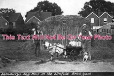 SX 80 - Sansburys Hay Mow In Slinfold Brickyard, Sussex