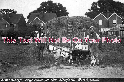 Sansburys hay mow in - 80,