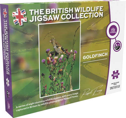 Goldfinch bird 1000 - goldfinch,