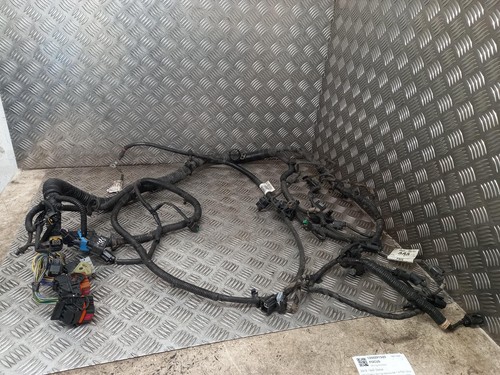 Ford focus mk3 - ford, engine