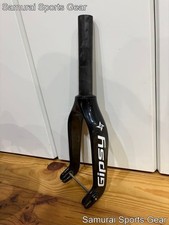 gypsy Strider ST-R carbon fork