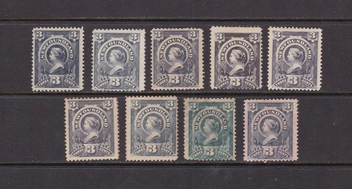 Newfoundland 1890 queen - newfoundland,