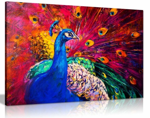 Coloured peacock canvas wall - peacock,