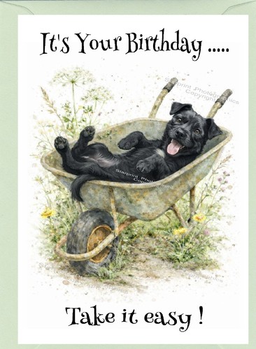 Patterdale terrier dog x - patterdale, (4"x