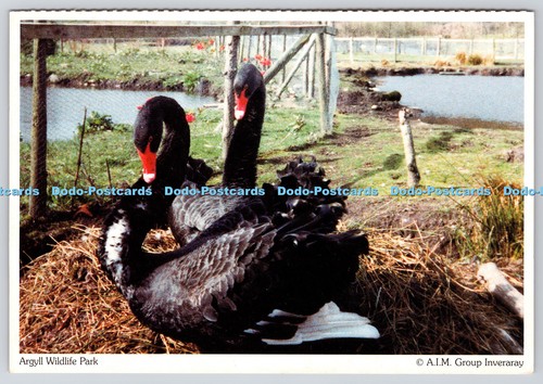 L345372 argyll wildlife - l345372, a