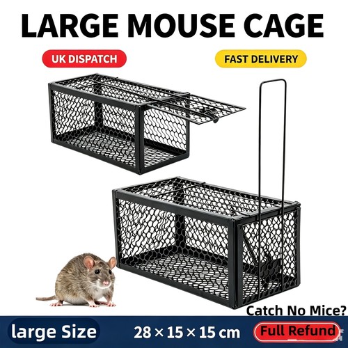 Hficy rat trap mouse - hficy,