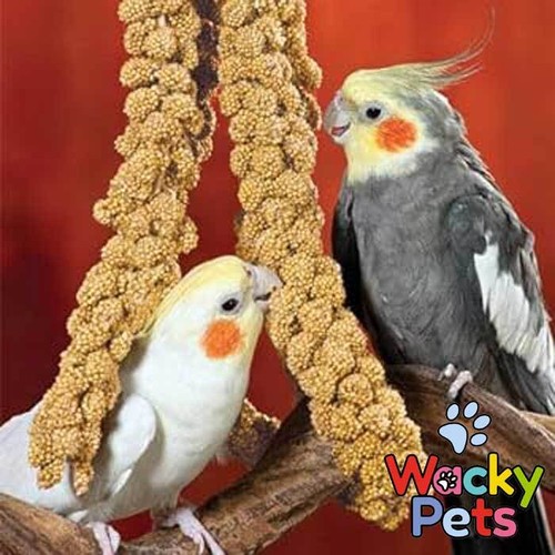 Millet sprays for - bird, /