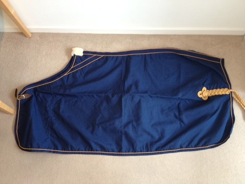 Navy and gold equiport - navy,