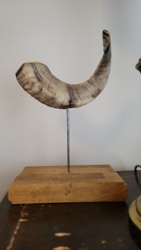 Ram horn display stand wooden - ram,