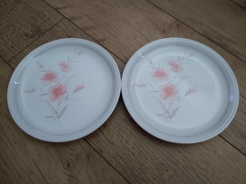 Biltons pottery dinner - x,