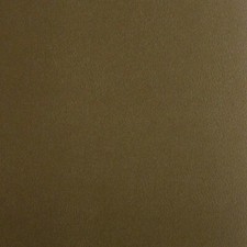 Spradling Boat 1/4 Foam Back