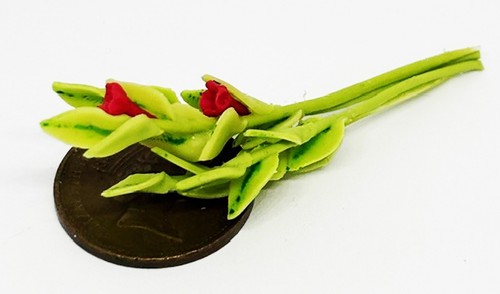 Dolls house green plant with - house,