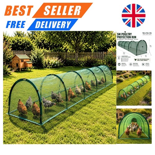 Secure outdoor chicken run and - secure,
