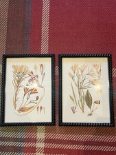 Pair Of Oka Framed Prints