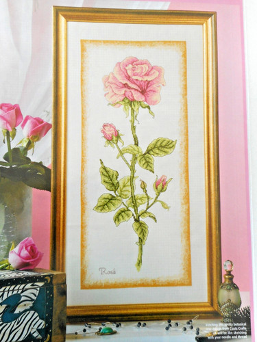 Botanical pink rose - botanical, rose.